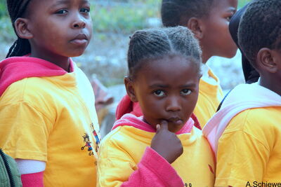 Die Vorschule Funimfundo besucht das Reservat Panthera Africa