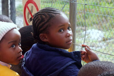 Die Vorschule Funimfundo besucht das Reservat Panthera Africa