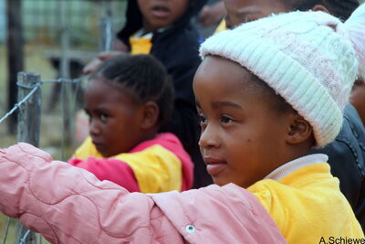 Die Vorschule Funimfundo besucht das Reservat Panthera Africa